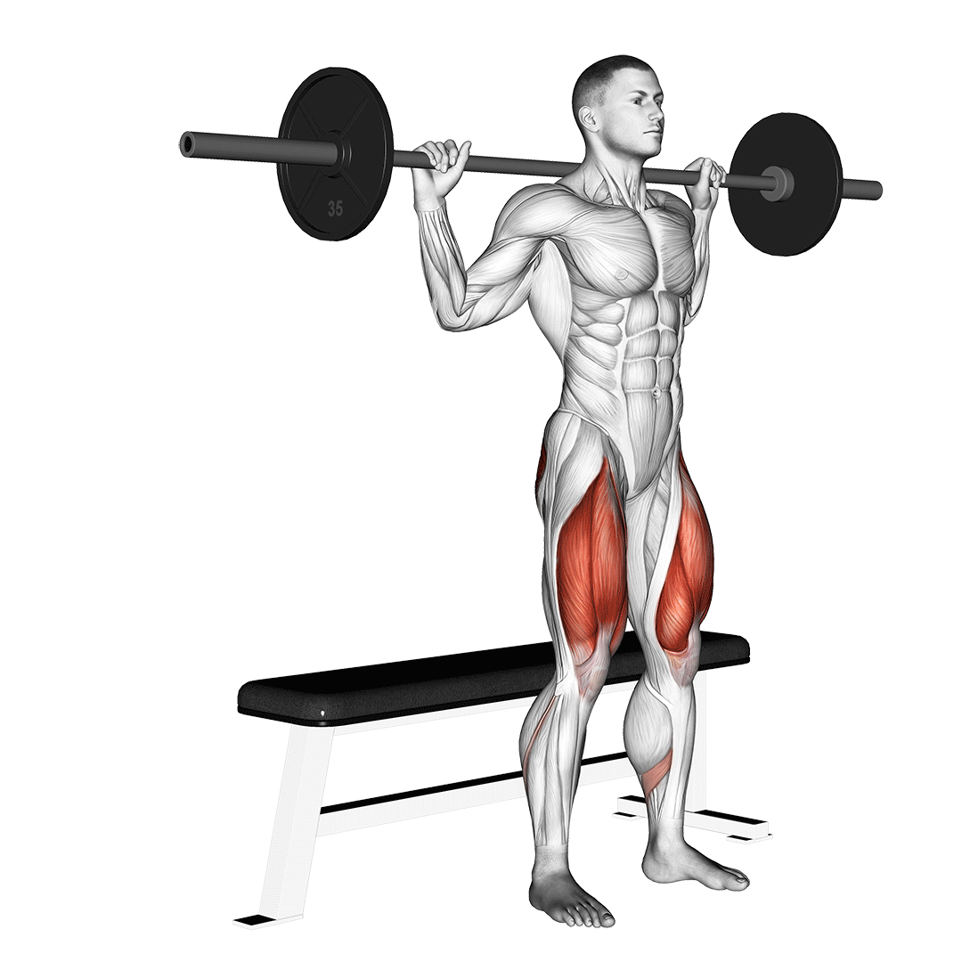 Barbell Bench Squat demo