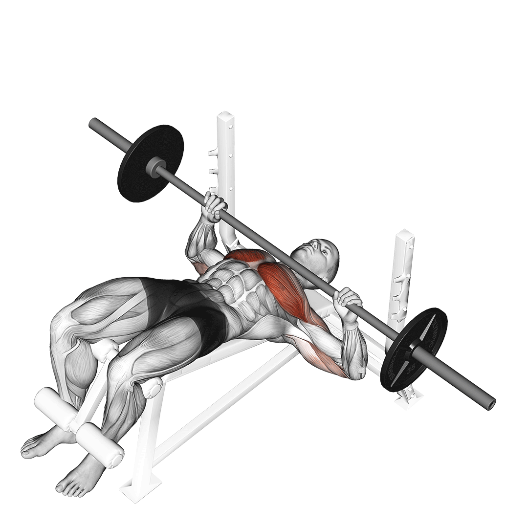 Barbell Decline Bench Press demo
