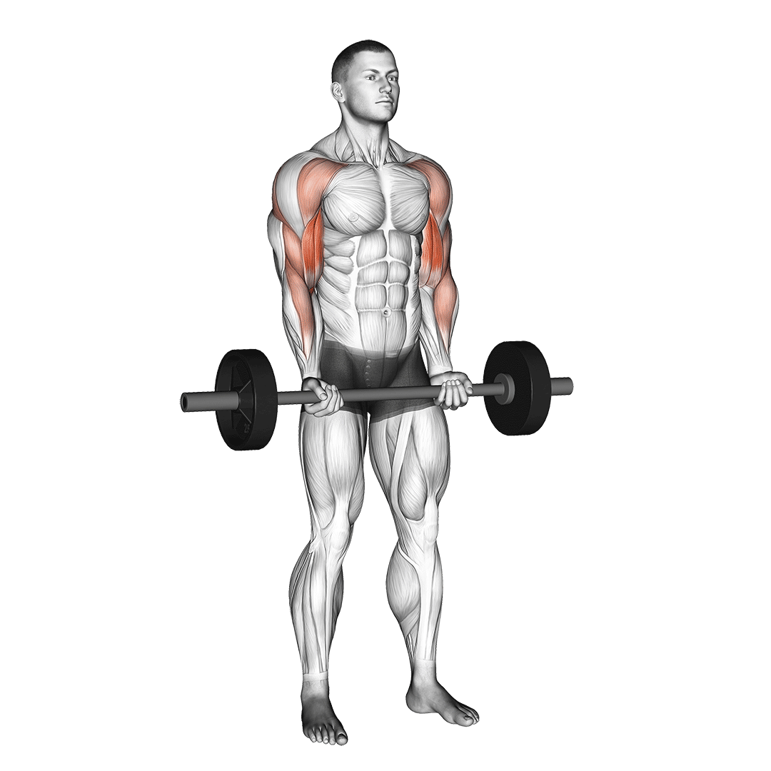 Barbell Drag Curl demo