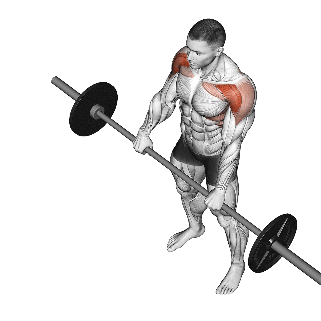 Barbell Front Raise demo
