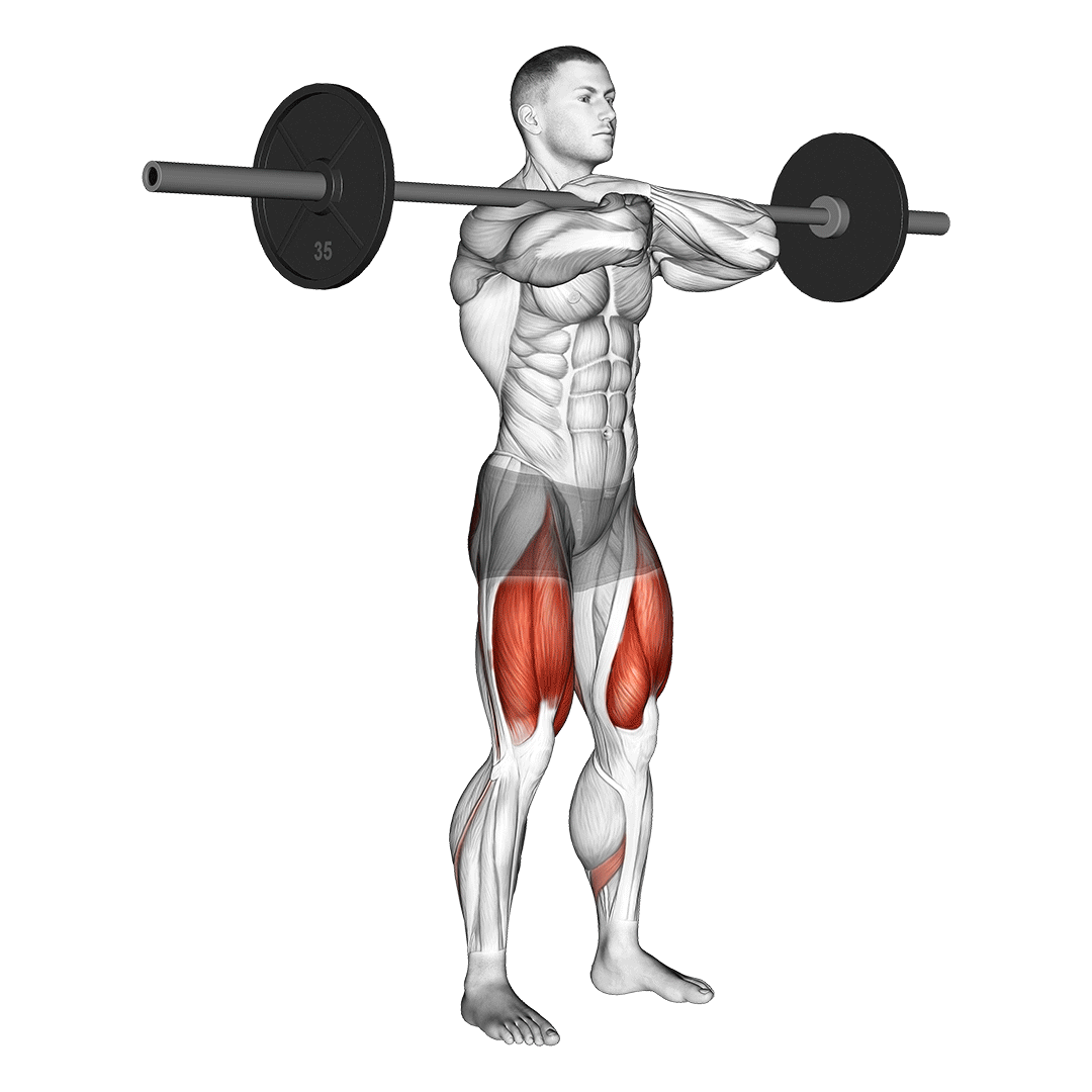 Barbell Front Squat demo