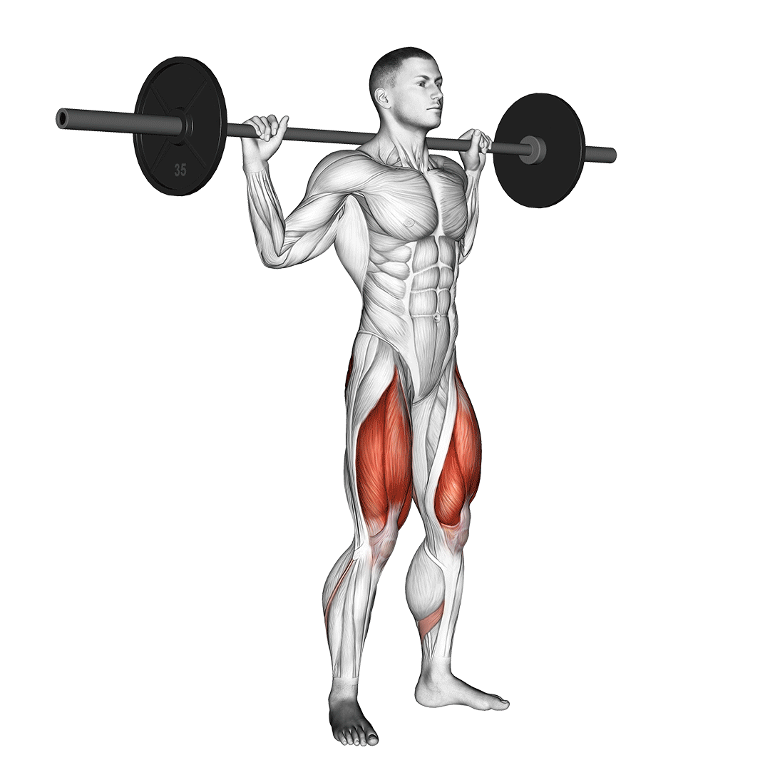 Barbell Full Squat demo