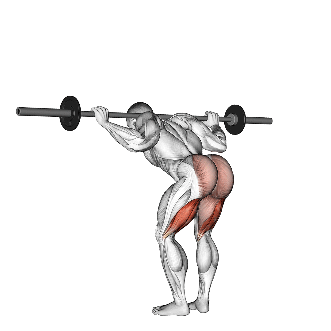 Barbell Good Morning demo