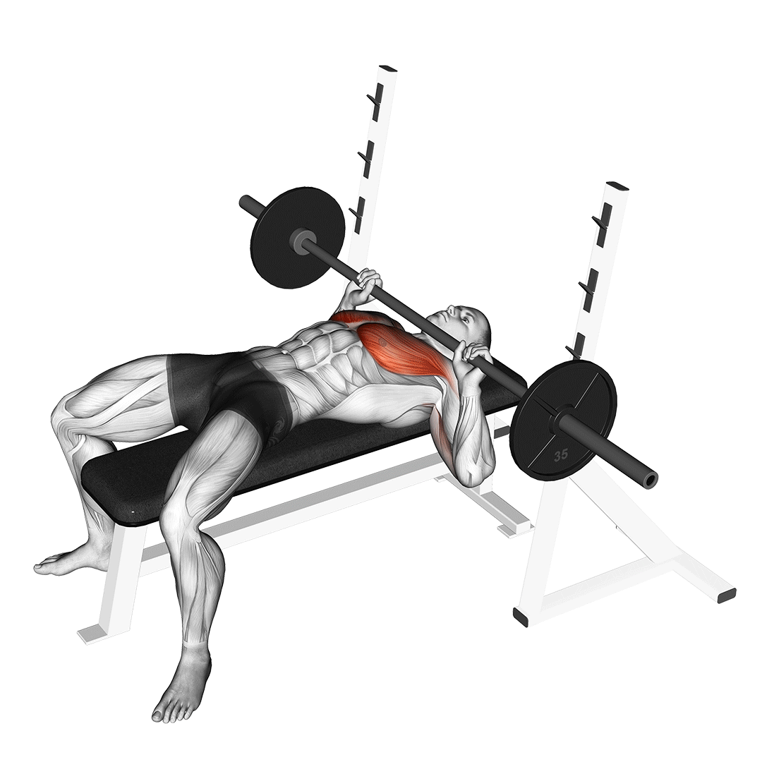 Barbell Guillotine Bench Press demo