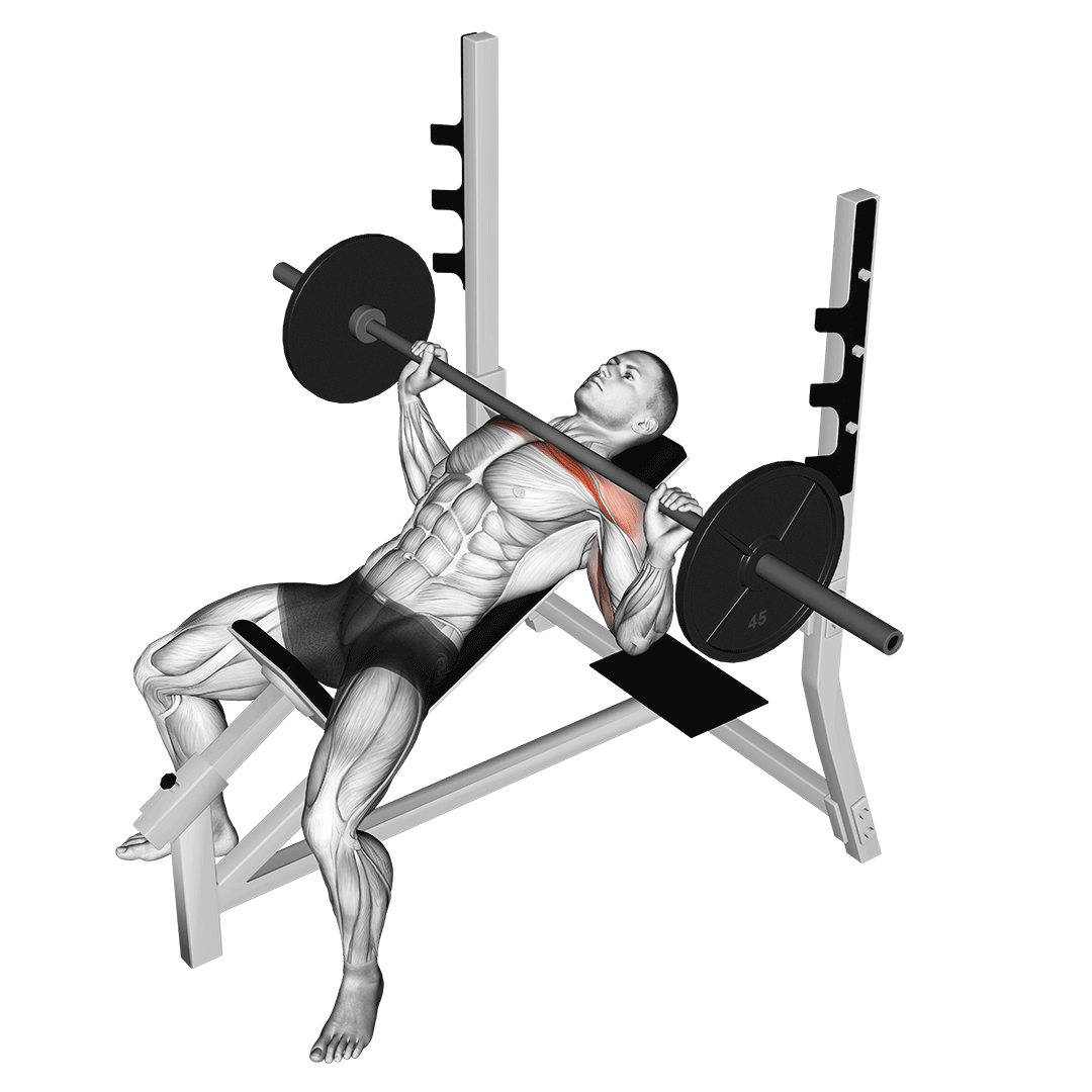 Barbell Incline Bench Press demo
