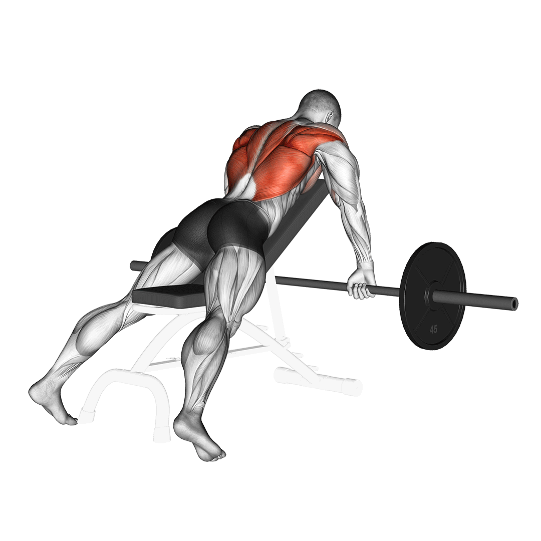 Barbell Incline Row demo
