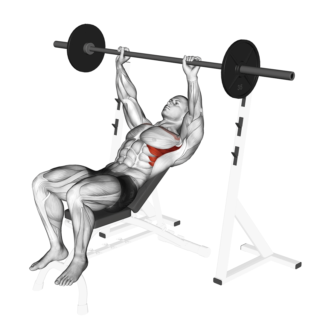 Barbell Incline Shoulder Raise demo