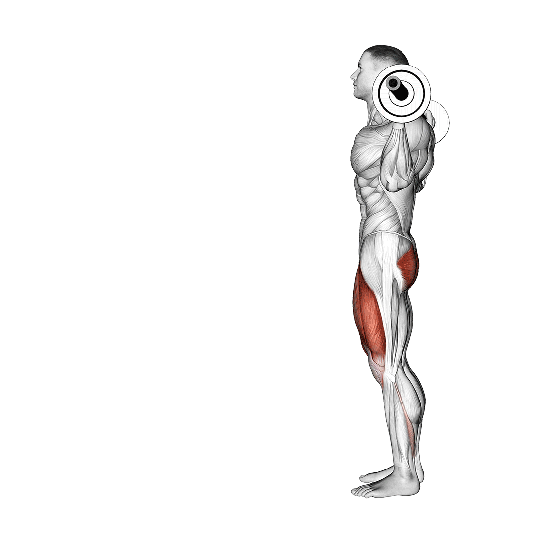 Barbell Lunge demo