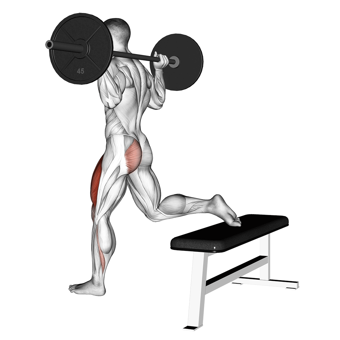 Barbell One Leg Squat demo
