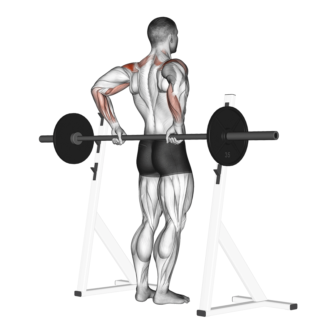 Barbell Rear Delt Raise demo