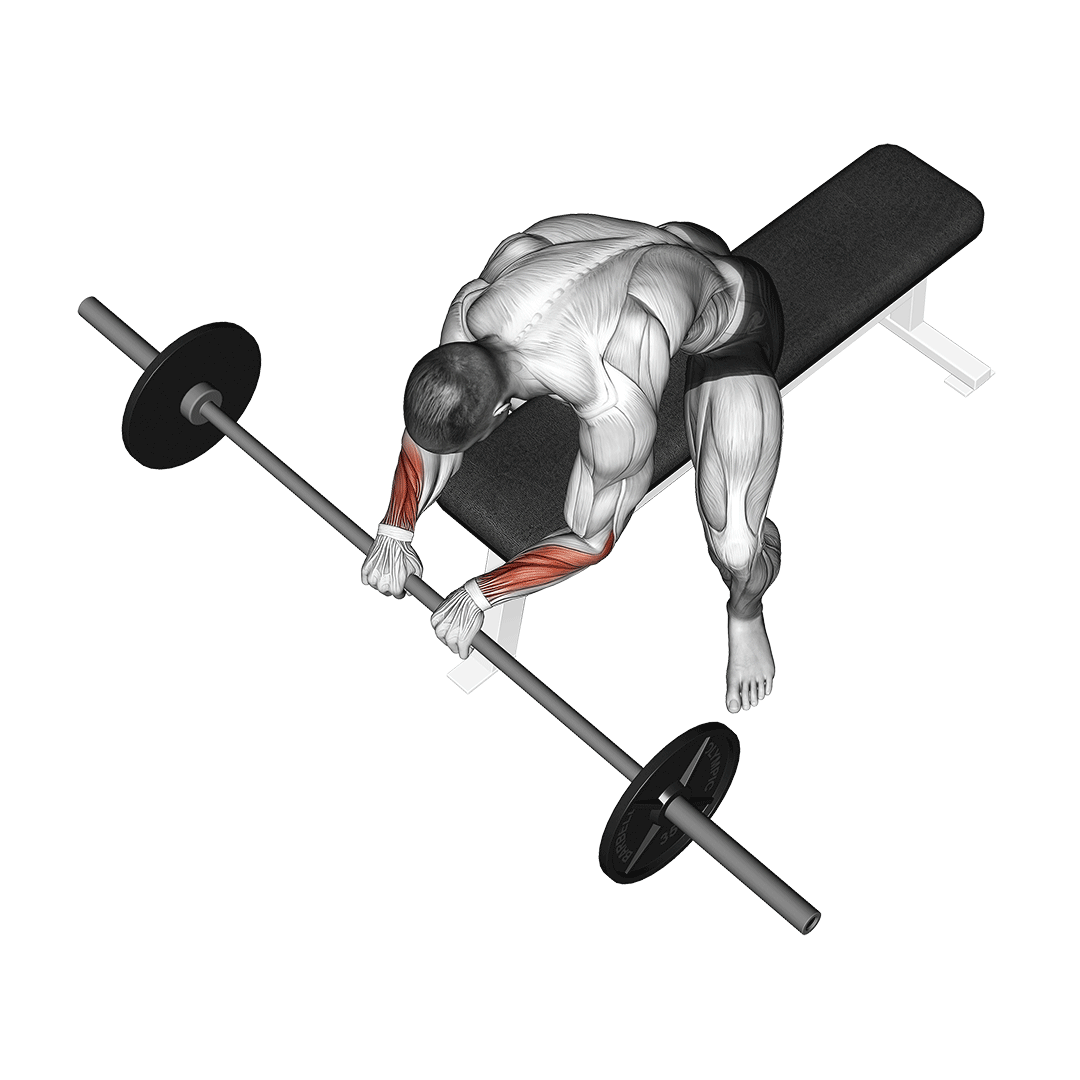 Barbell Reverse Wrist Curl demo