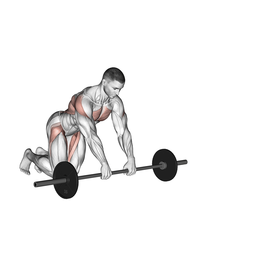 Barbell Rollerout demo