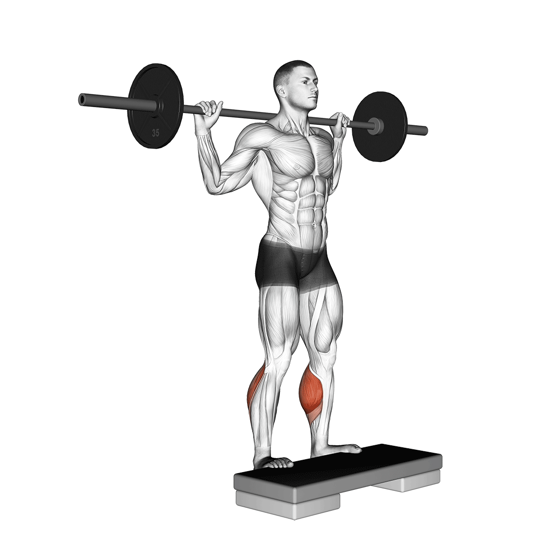 Barbell Standing Leg Calf Raise demo