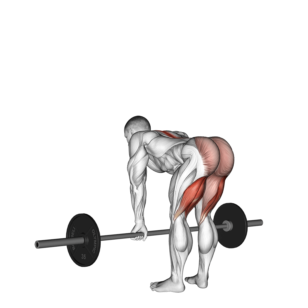 Barbell Straight Leg Deadlift demo