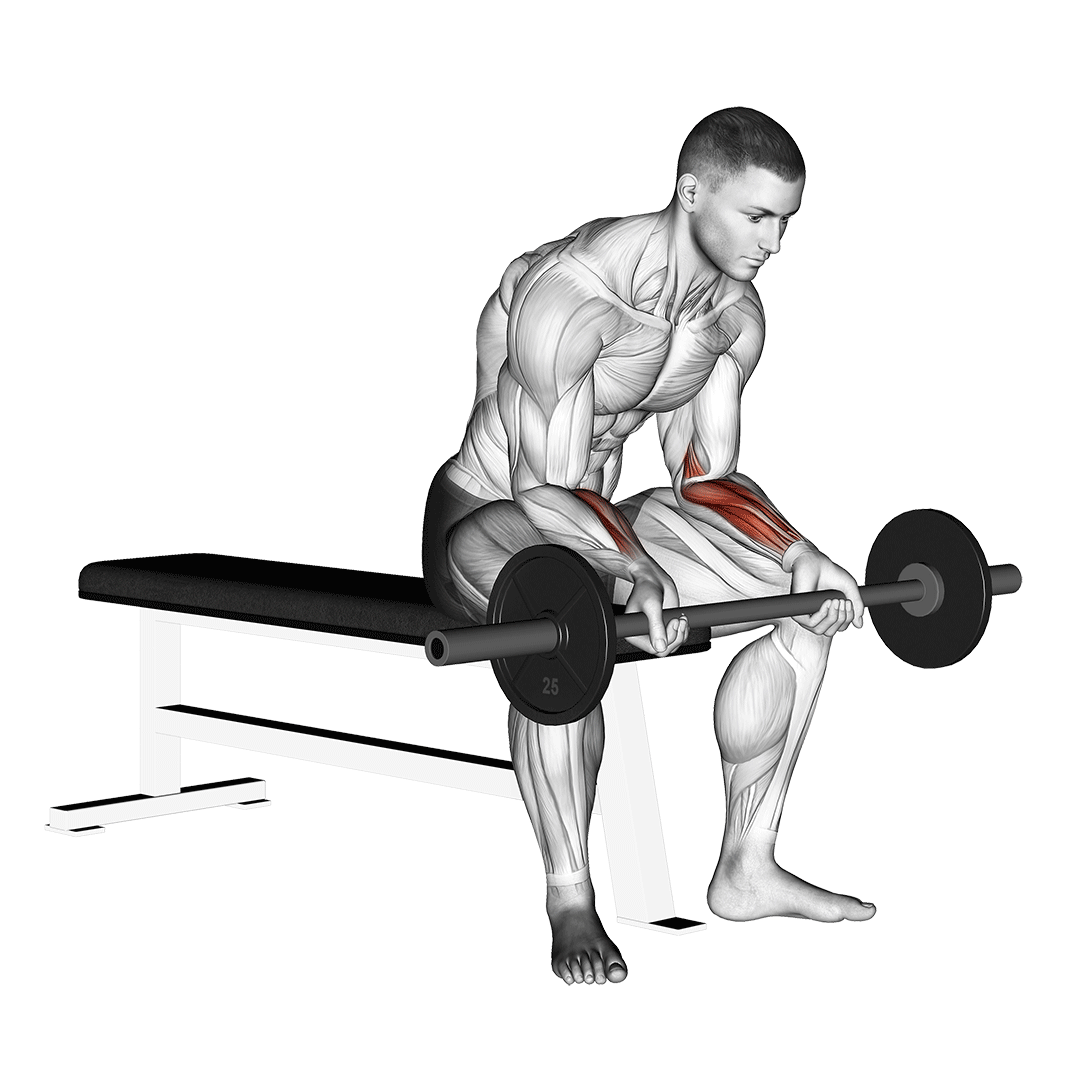 Barbell Wrist Curl V. 2 demo