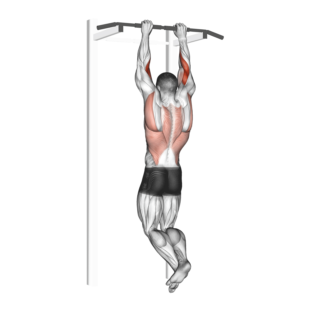 Biceps Pull-Up demo