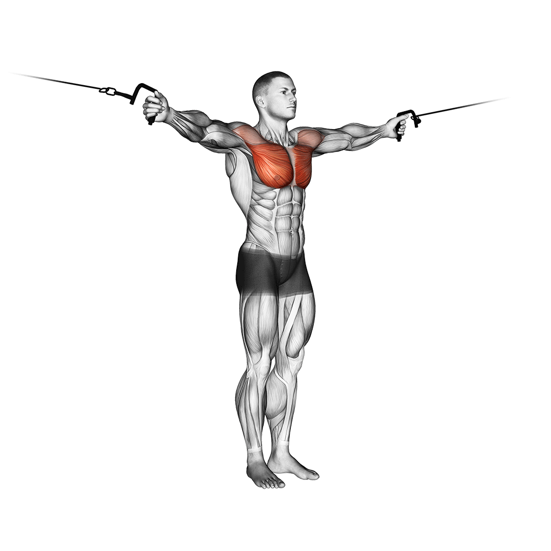 Cable Cross-Over Variation demo