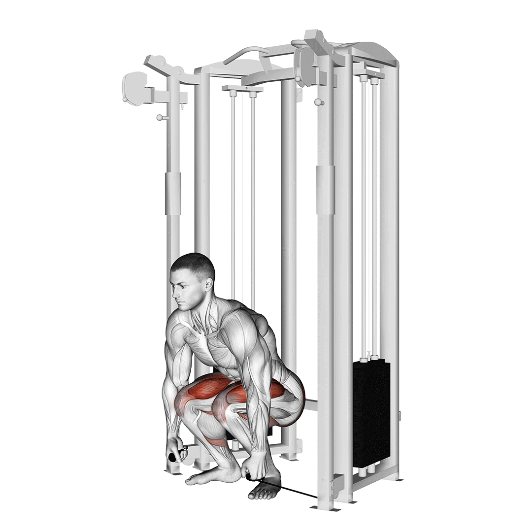Cable Deadlift demo