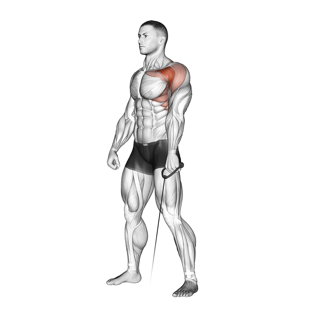 Cable Forward Raise demo