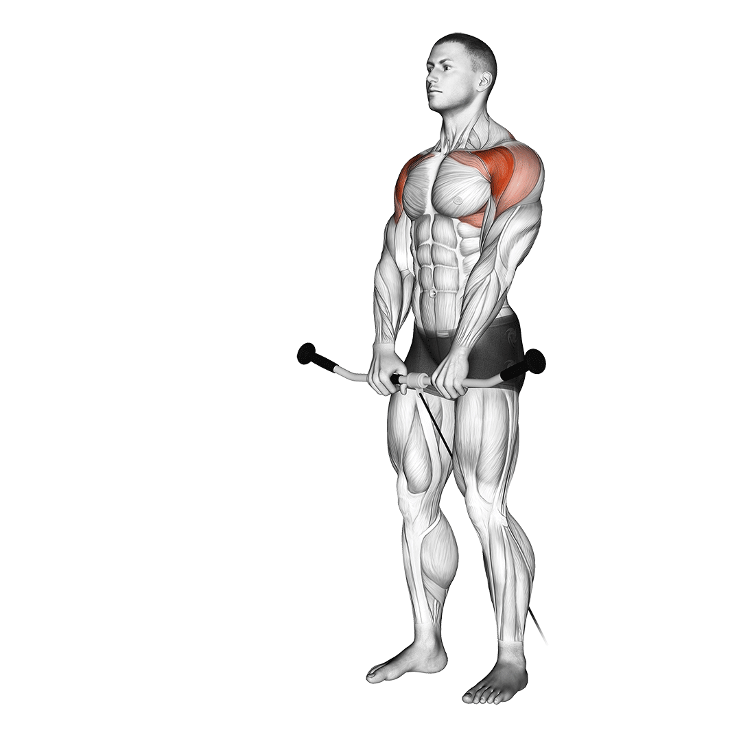 Cable Front Raise demo