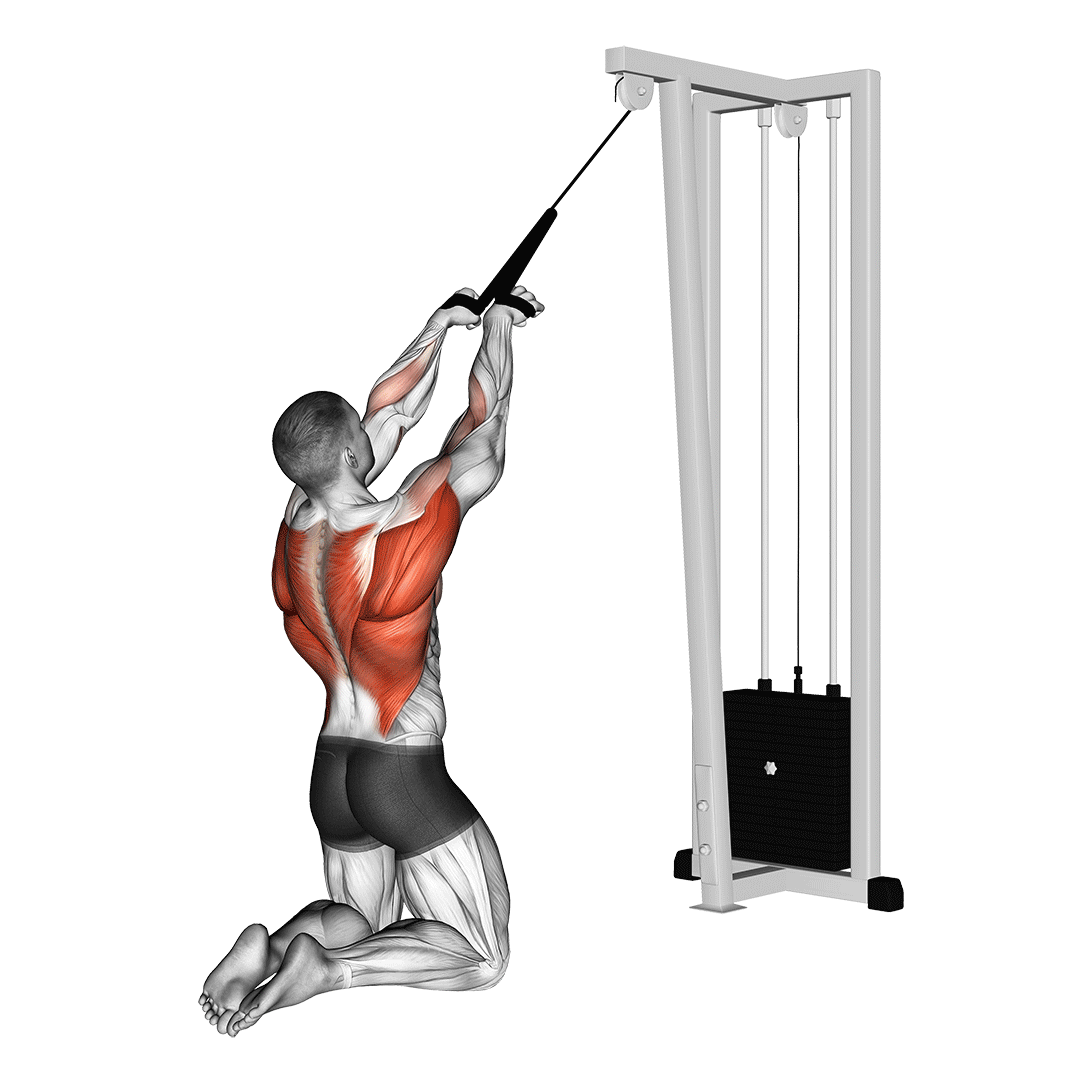 Cable High Row (Kneeling) demo