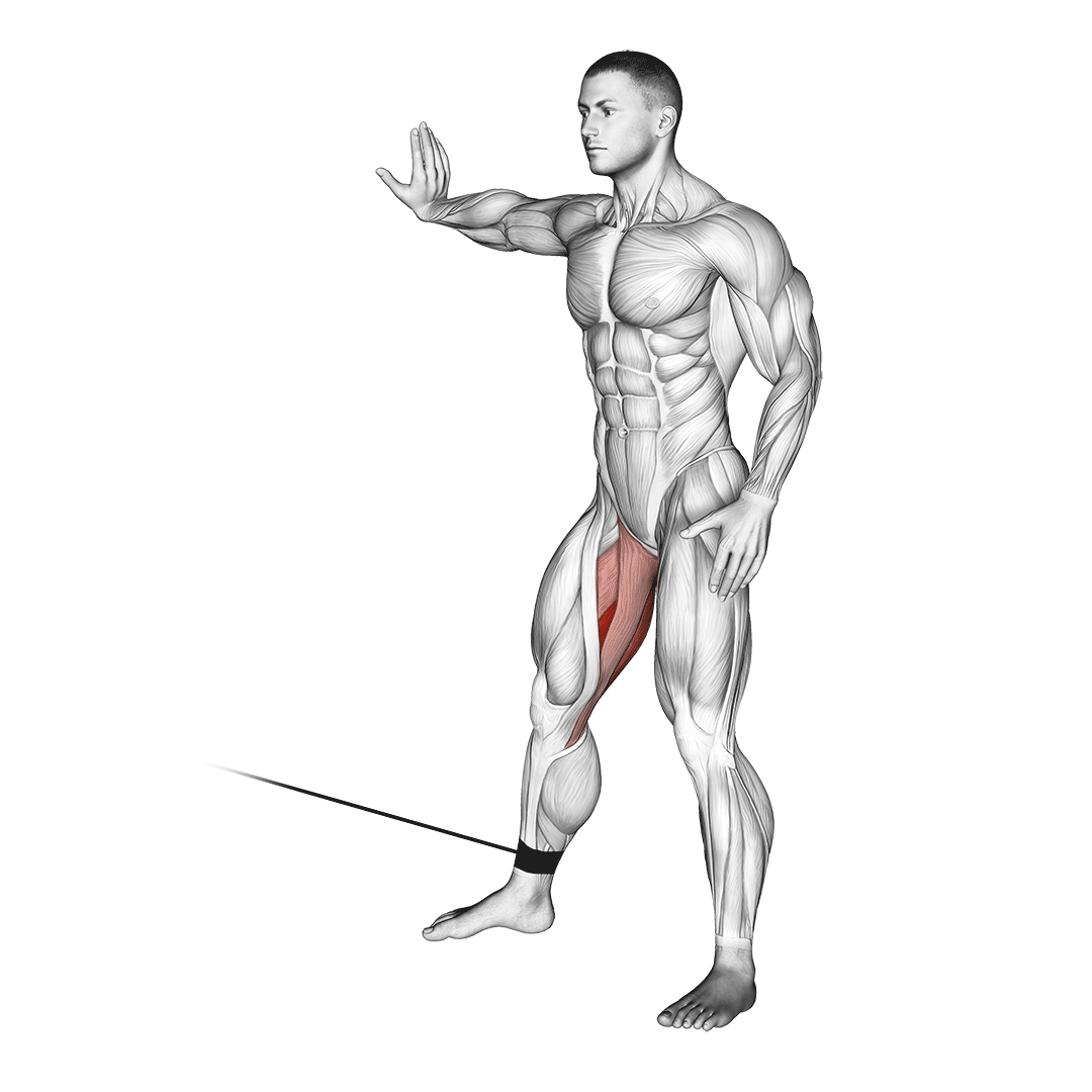 Cable Hip Adduction demo
