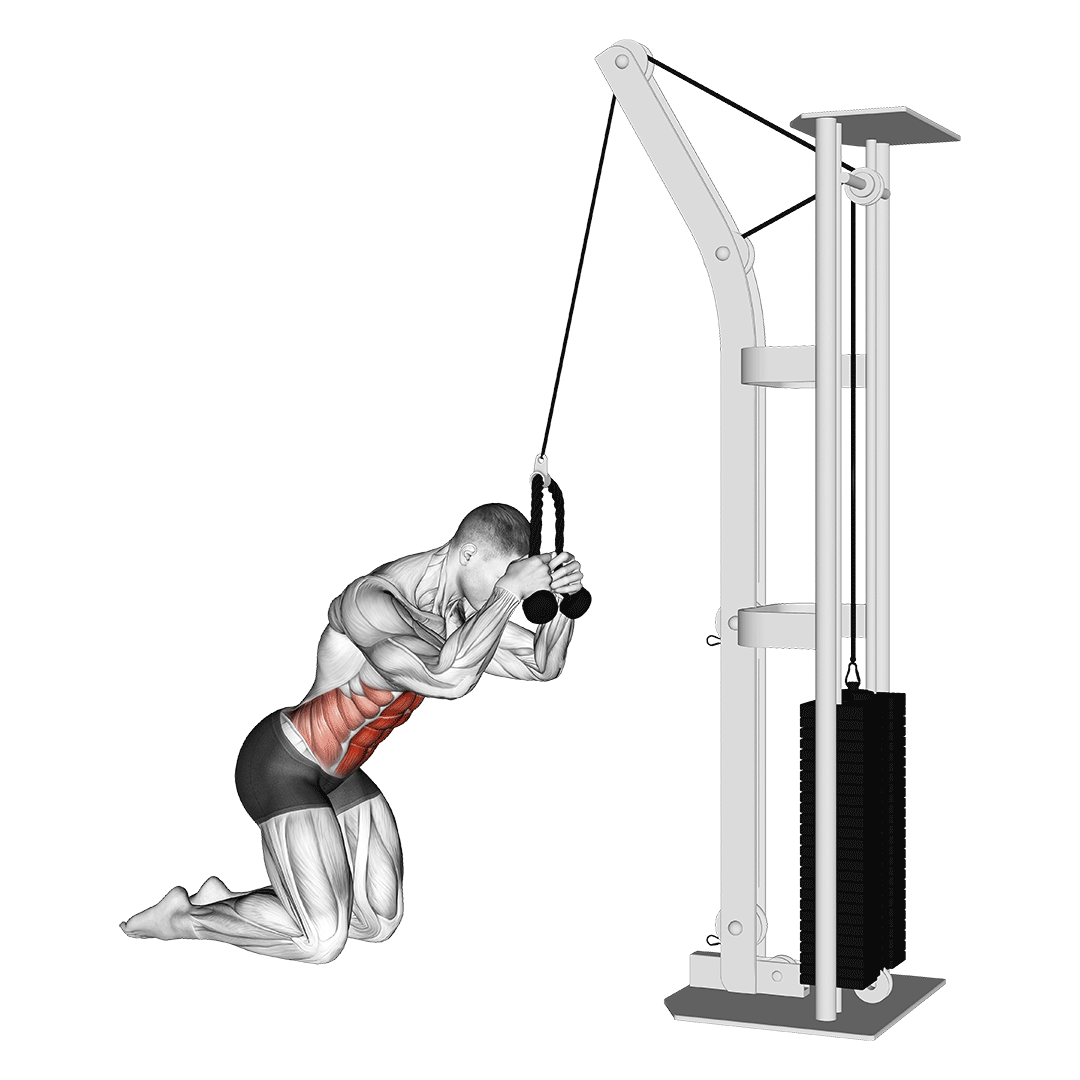 Cable Kneeling Crunch demo