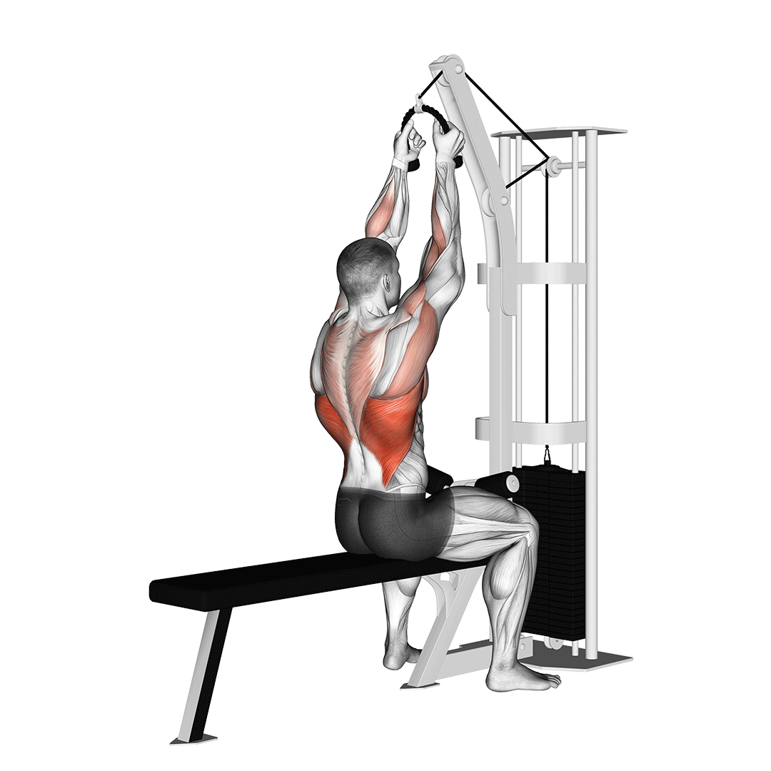Cable Lateral Pulldown (With Rope Attachment) demonstration