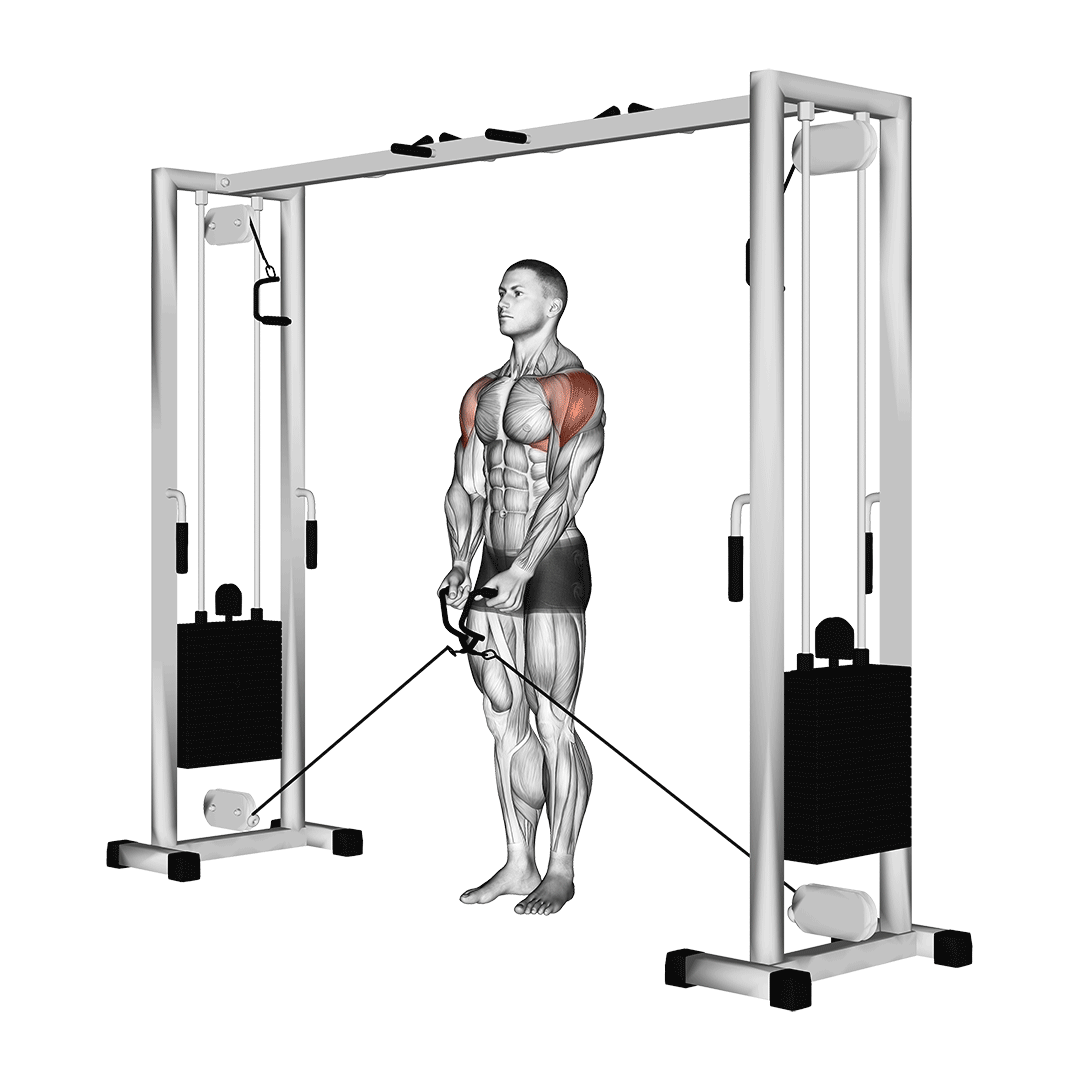 Cable Lateral Raise demo