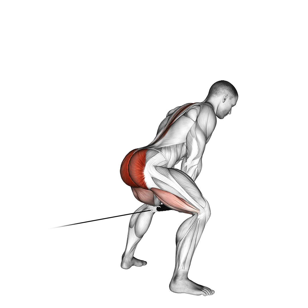 Cable Pull Through (With Rope) demo