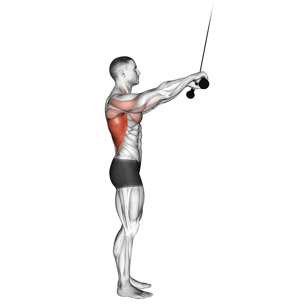 Cable Pushdown (Straight Arm) V. 2 demonstration