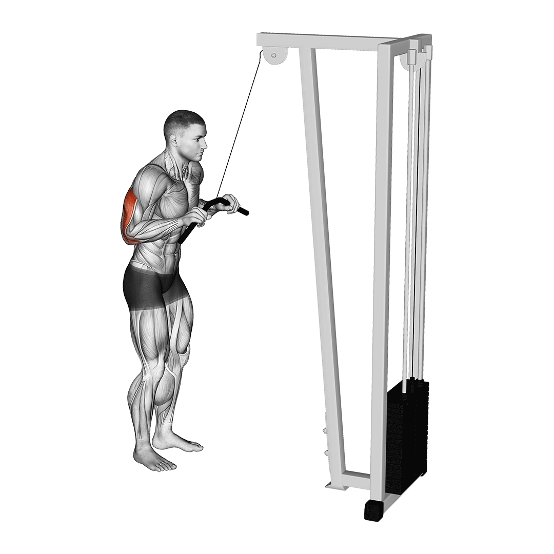 Cable Pushdown demo