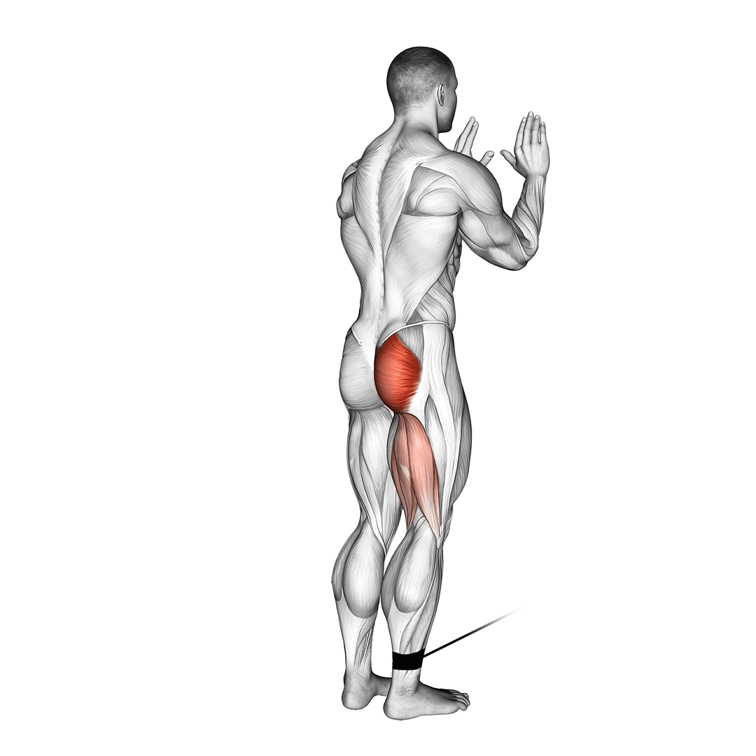 Cable Standing Hip Extension demo