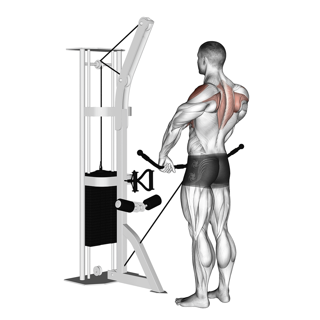 Cable Upright Row demo