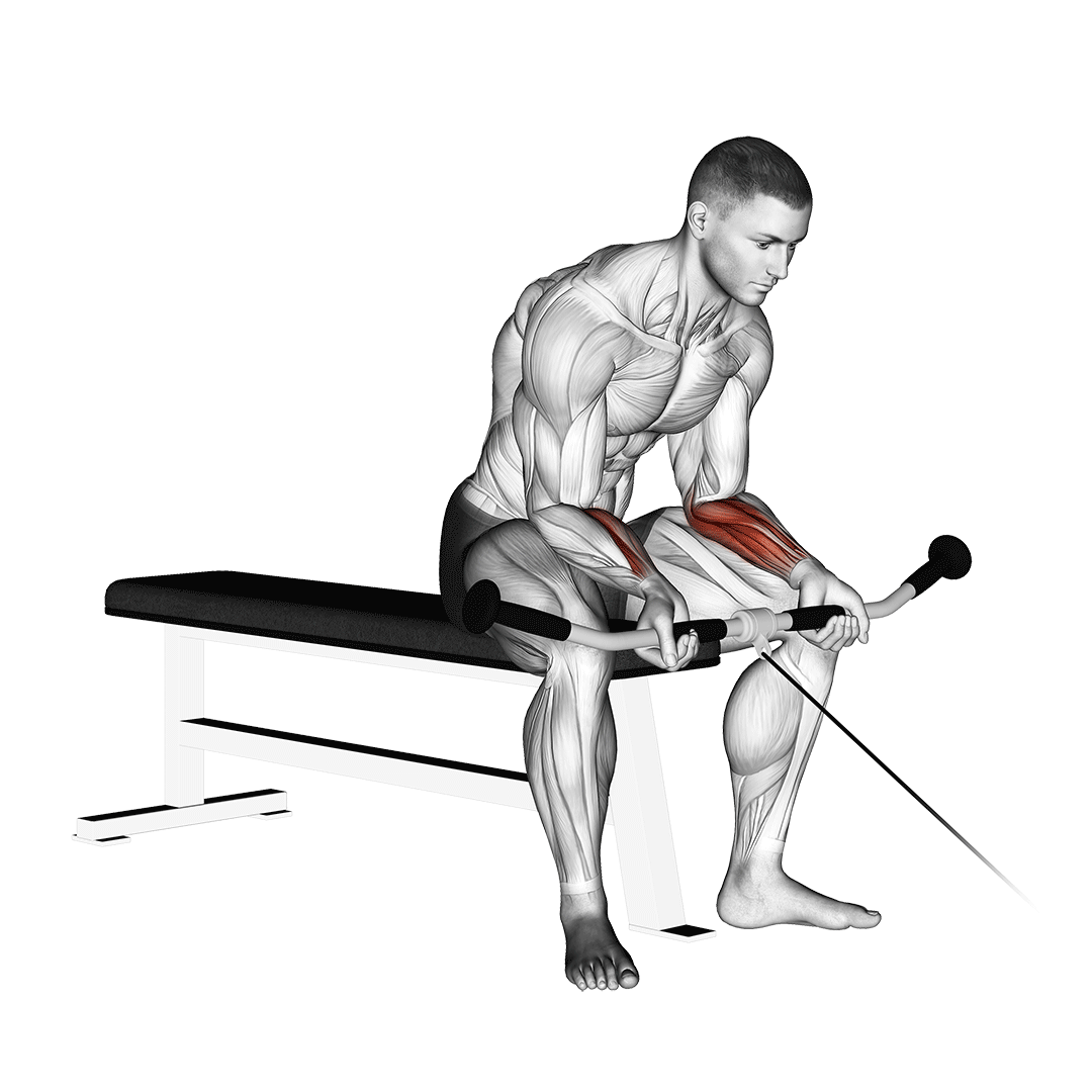 Cable Wrist Curl demo