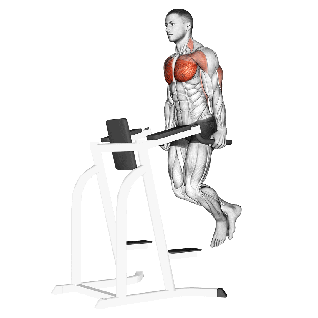 Chest Dip demo