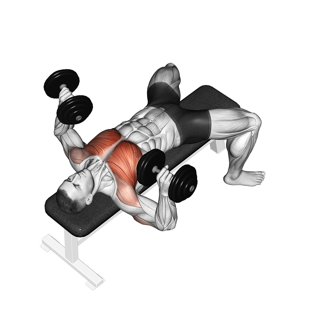 Dumbbell Bench Press demo