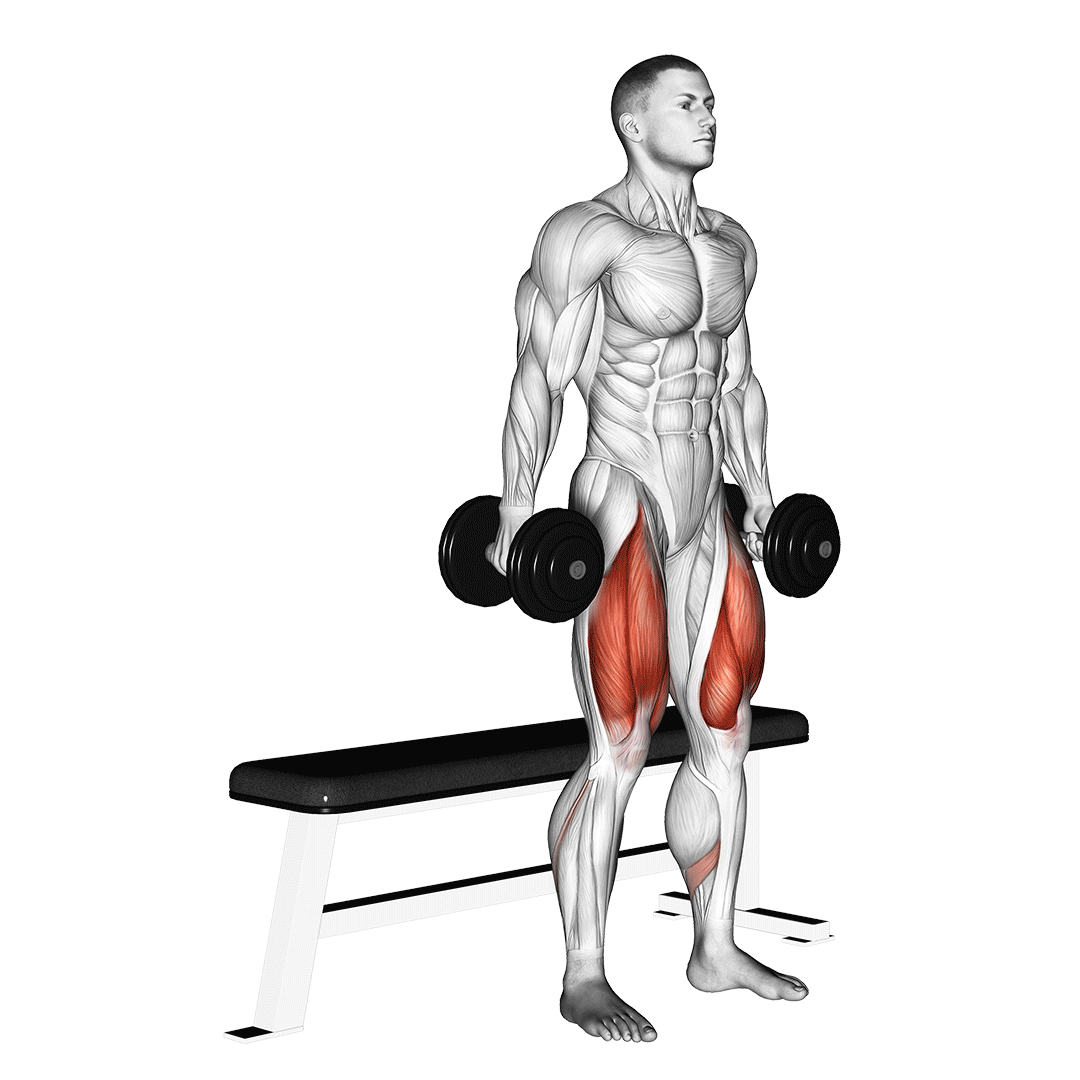 Dumbbell Bench Squat demo