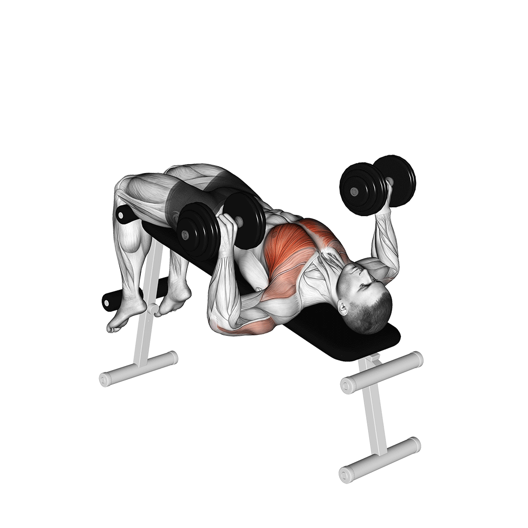 Dumbbell Decline Bench Press demo