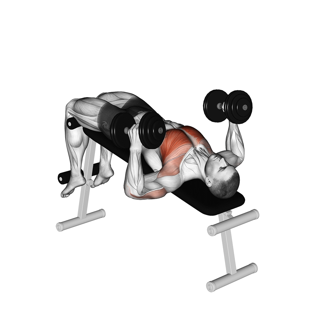 Dumbbell Decline Hammer Press demonstration