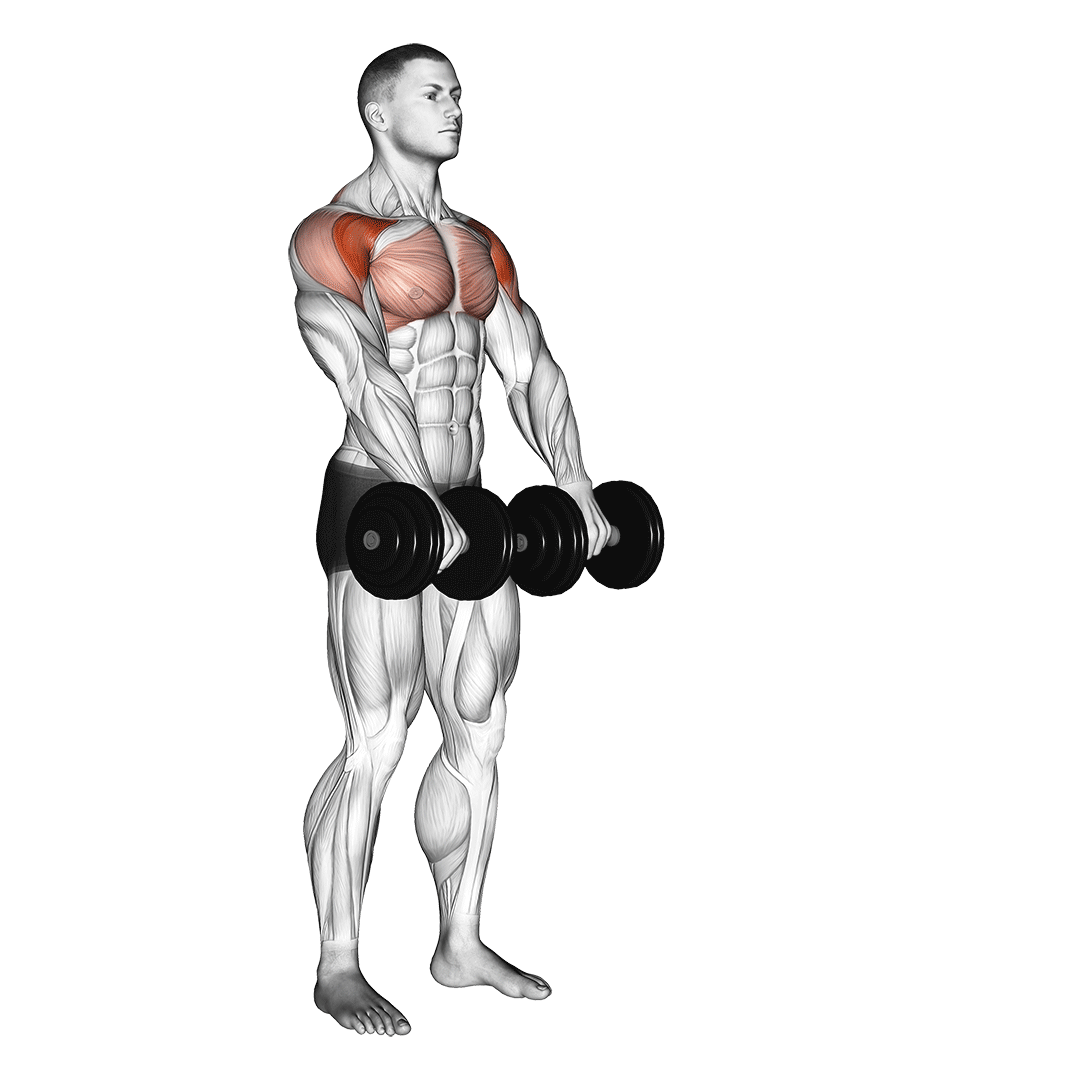 Dumbbell Front Raise demo