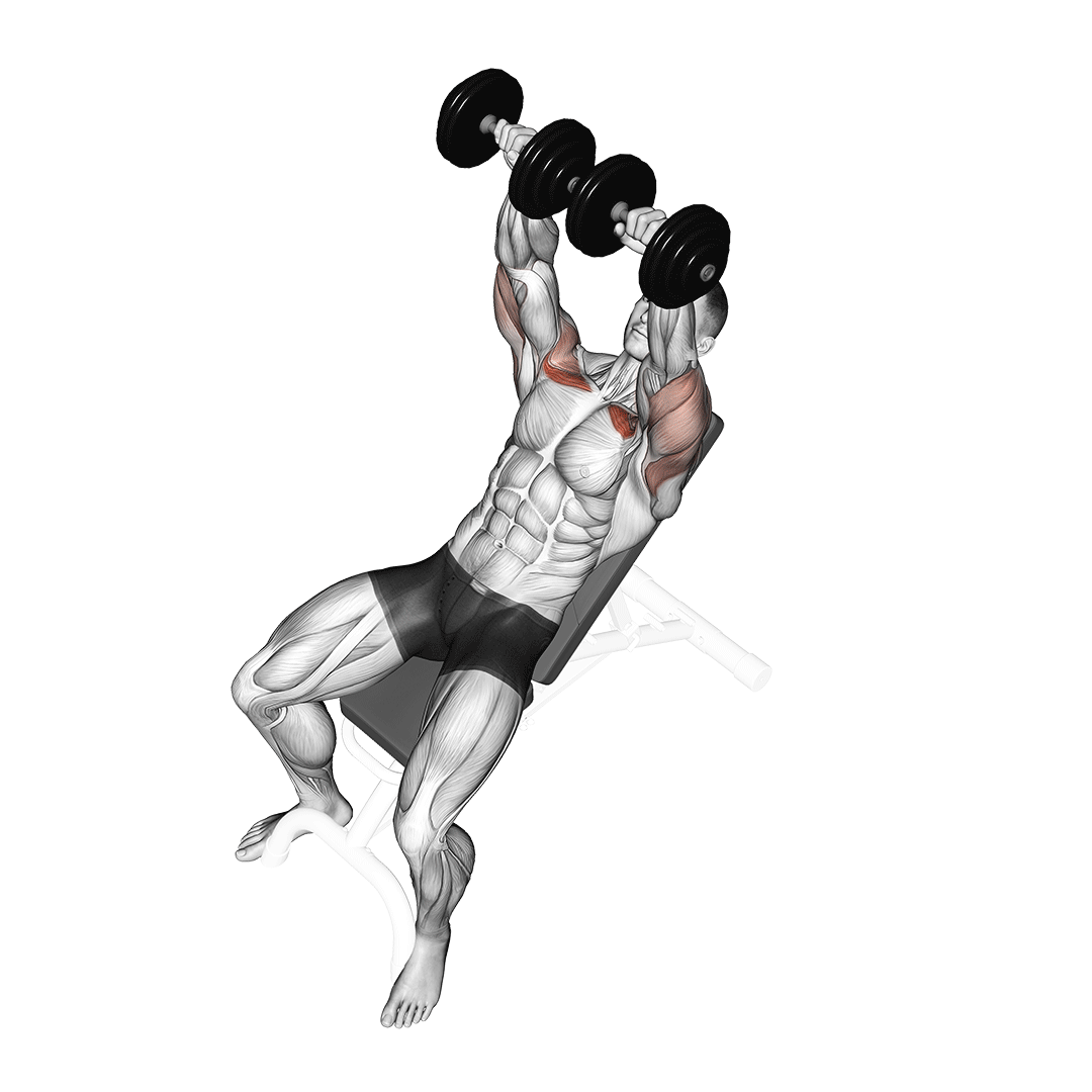 Dumbbell Incline Bench Press demo