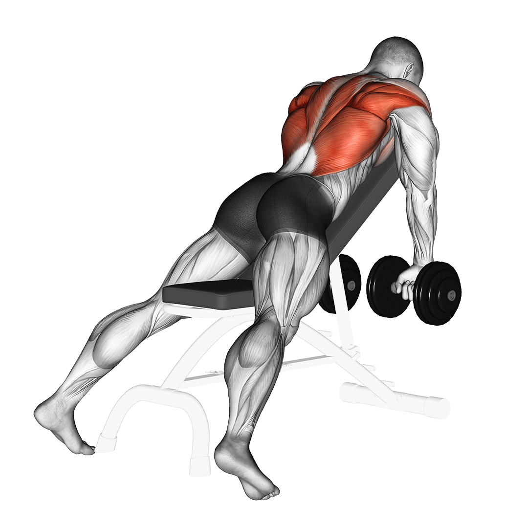 Dumbbell Incline Row demo