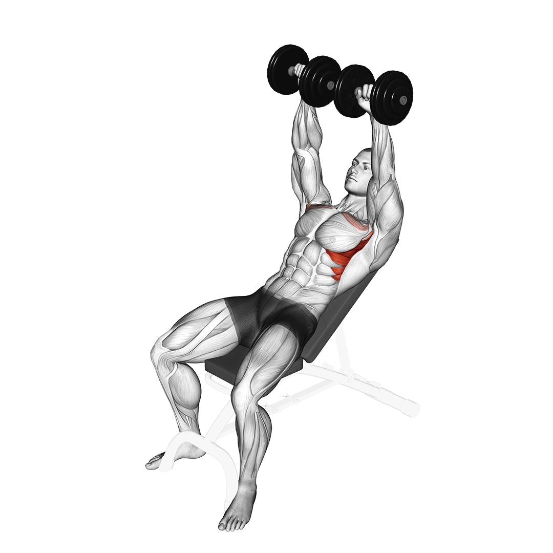 Dumbbell Incline Shoulder Raise demo