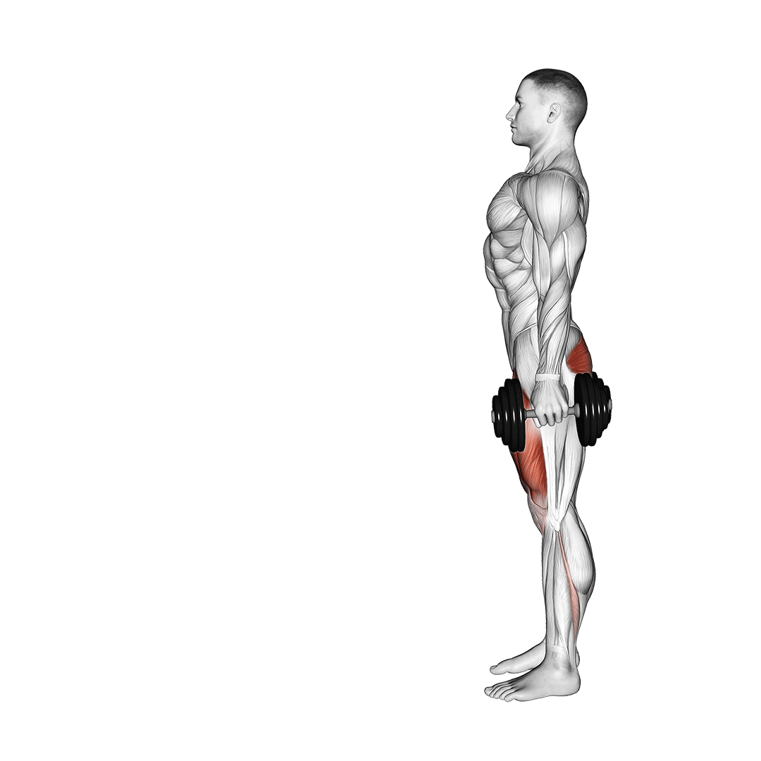 Dumbbell Lunge demo