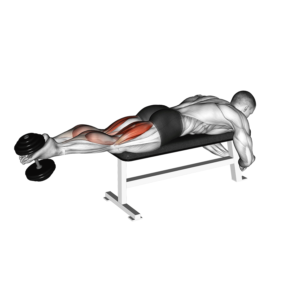 Dumbbell Lying Femoral demo