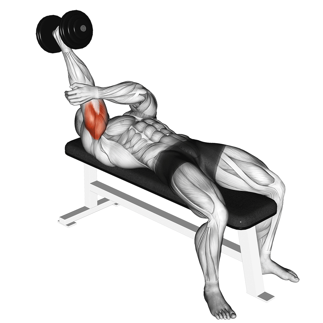 Dumbbell Lying One Arm Supinated Triceps Extension demonstration