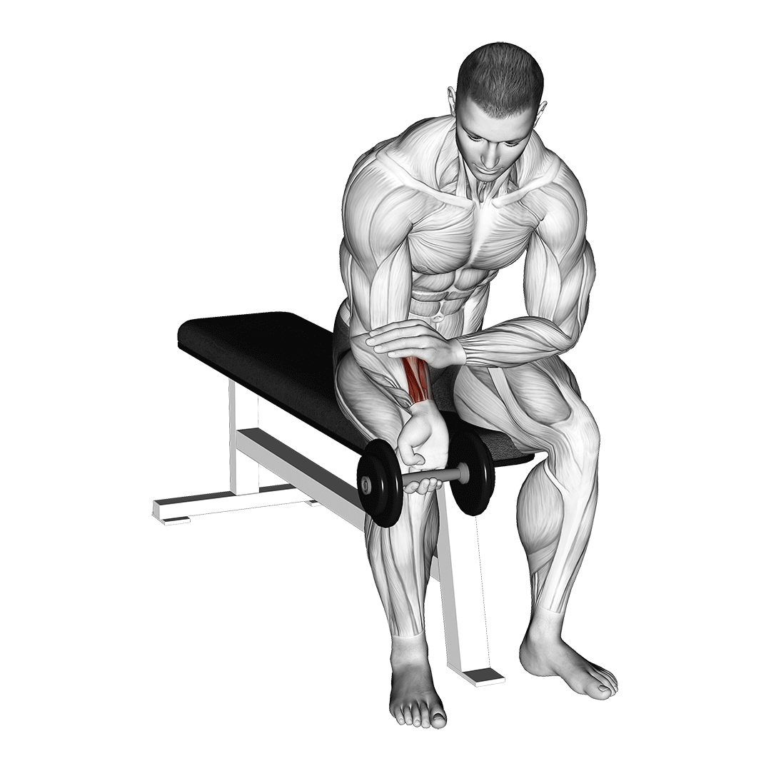 Dumbbell One Arm Wrist Curl demo
