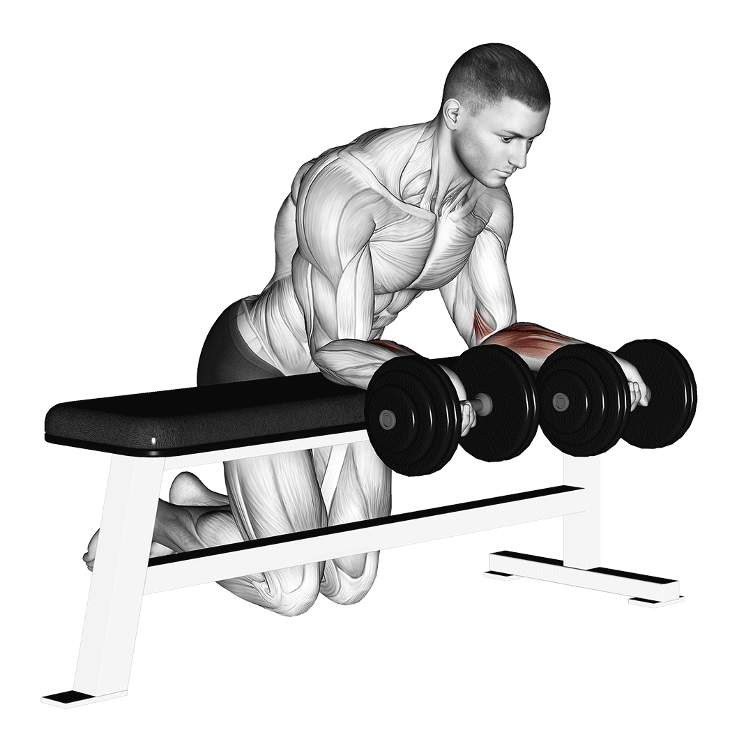 Dumbbell Over Bench Reverse Wrist Curl demonstration