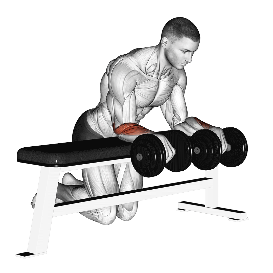 Dumbbell Over Bench Wrist Curl demo